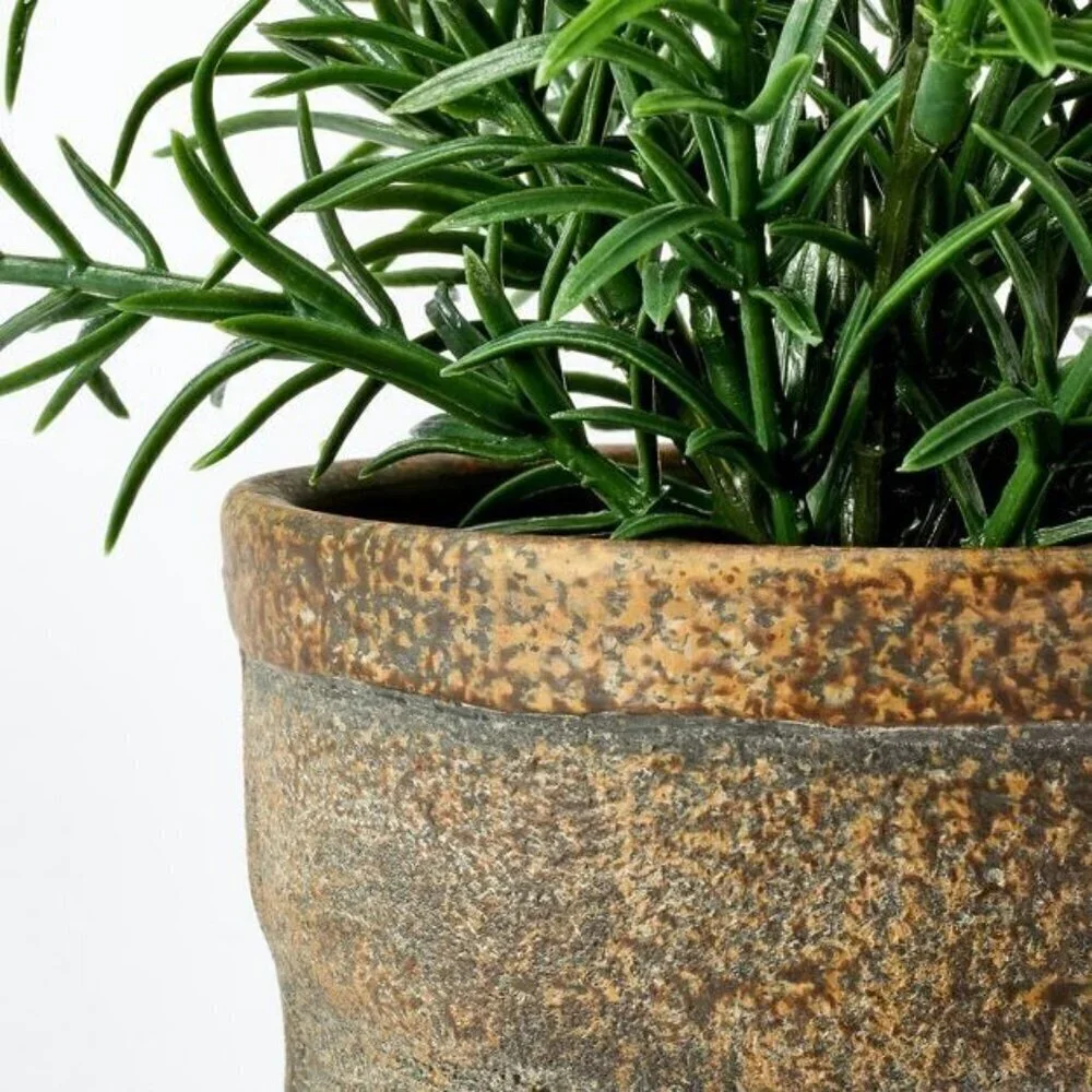 Small Pine Leaf Potted Arrangement - Threshold Studio McGee, Target 2022